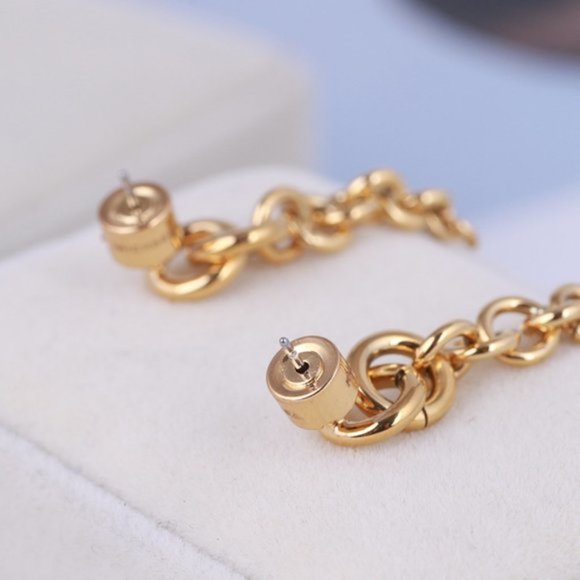 Michael Kors Fringe Metal Chain Long Earrings - Picture 9 of 9